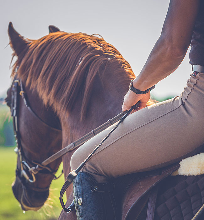 equine vet berkshire