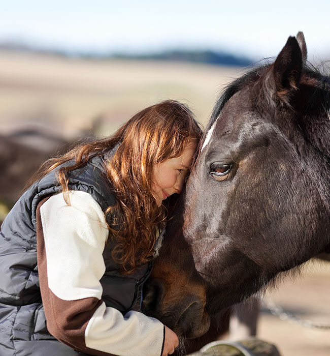 equine vet high wycombe